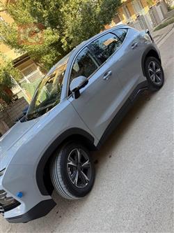 جيتور داشينج